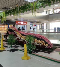 Bashundhara Shopping Mall