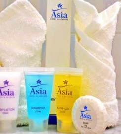 Asia Hotel & Resorts