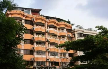 Hotel Tropical Daisy