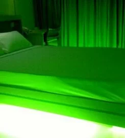 Hotel Tropical Daisy