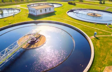 Ion Exchange Environment Management (BD)