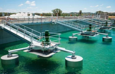 Ion Exchange Environment Management (BD)