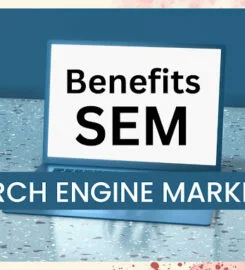 Babul Radee – SEO Service