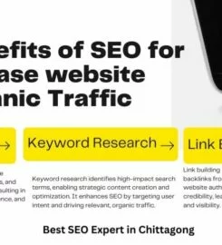 Babul Radee – SEO Service