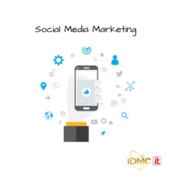 IDMC IT