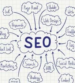 SEO Expert in Bangladesh