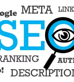 SEO Expert in Bangladesh