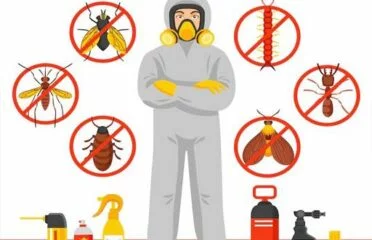 Pest Control Dhaka