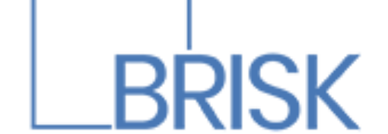 Accounting Auditing Firm-Brisk