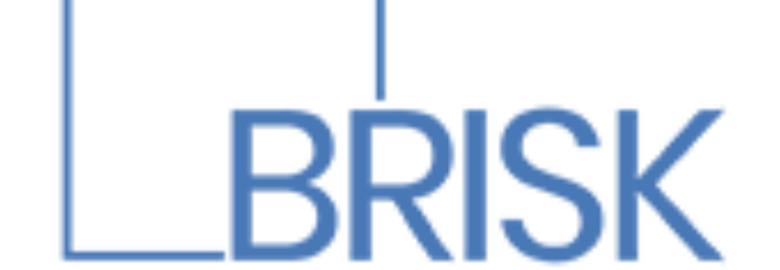 Accounting Auditing Firm-Brisk