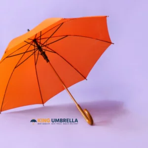 King Umbrella